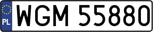 WGM55880