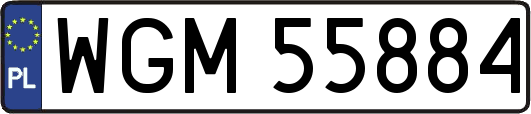 WGM55884
