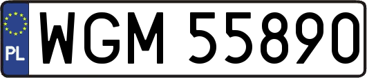 WGM55890