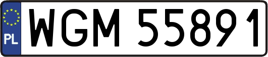 WGM55891