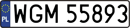 WGM55893