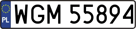 WGM55894
