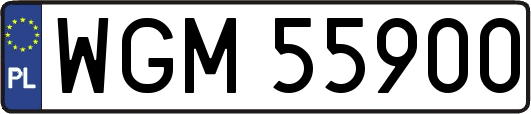 WGM55900
