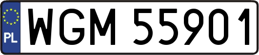 WGM55901
