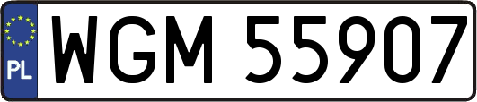 WGM55907
