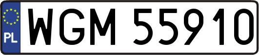 WGM55910