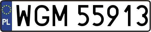 WGM55913