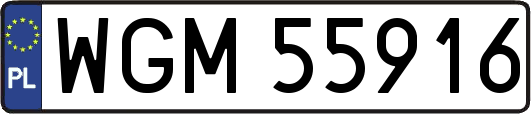 WGM55916