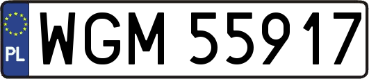 WGM55917