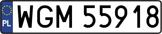 WGM55918