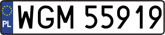 WGM55919
