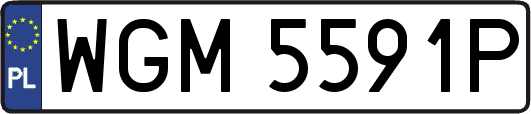 WGM5591P