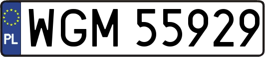 WGM55929
