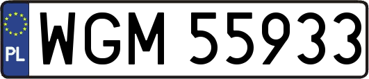 WGM55933