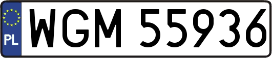 WGM55936