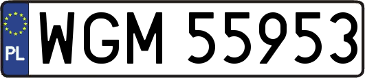 WGM55953