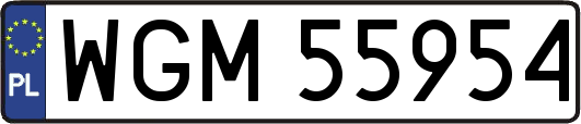 WGM55954