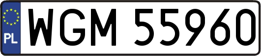 WGM55960