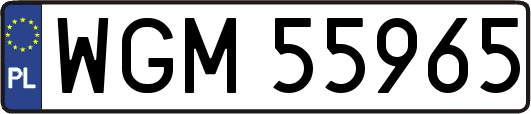 WGM55965
