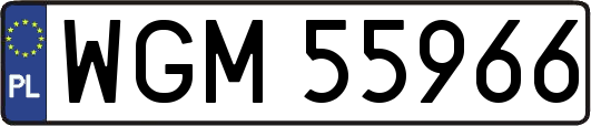 WGM55966