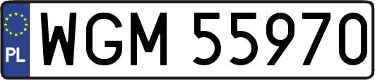 WGM55970