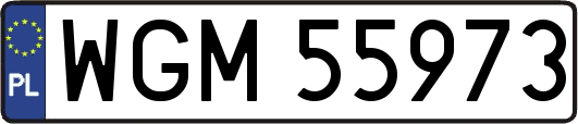 WGM55973