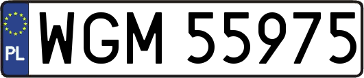 WGM55975