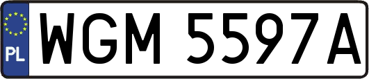 WGM5597A