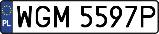 WGM5597P