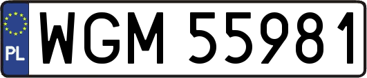 WGM55981