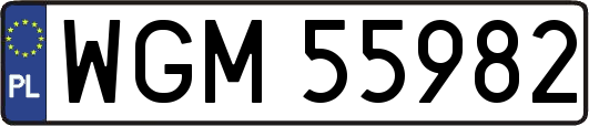 WGM55982