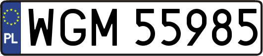 WGM55985