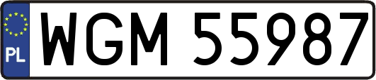 WGM55987