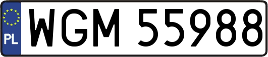 WGM55988