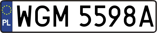 WGM5598A