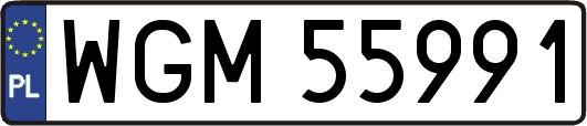 WGM55991