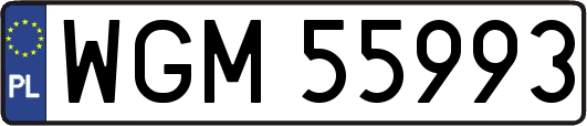 WGM55993