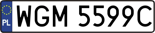 WGM5599C