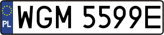 WGM5599E