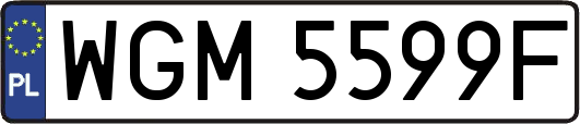 WGM5599F