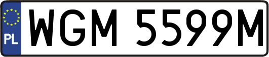 WGM5599M