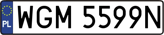 WGM5599N