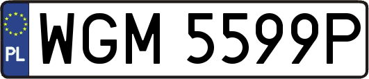 WGM5599P