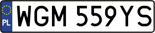 WGM559YS