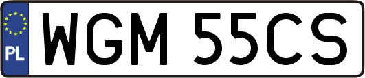 WGM55CS