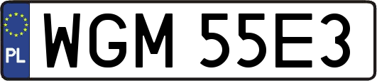 WGM55E3