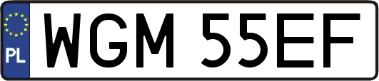 WGM55EF