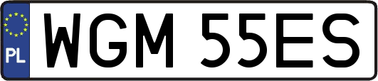 WGM55ES