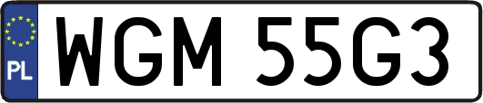 WGM55G3