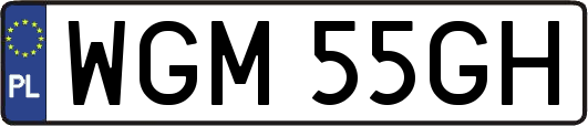 WGM55GH